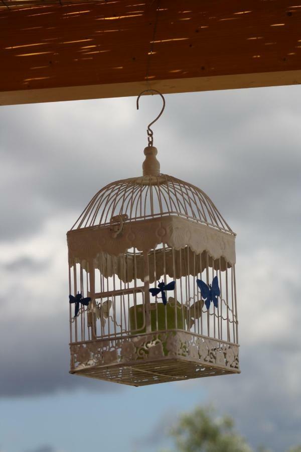 Casa Dos Corvos Villa แมร์โตลา ภายนอก รูปภาพ